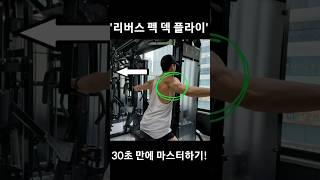 어깨 후면 운동 '리버스 펙 덱 플라이' 30초 만에 마스터하기!