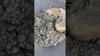 Gold hunter in a stone mortar,!!! a pile of gold in a stone mortar, wooow,!!! #goldhunter