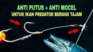 Basic fishing line for predatory fish |  anti break + anti loose