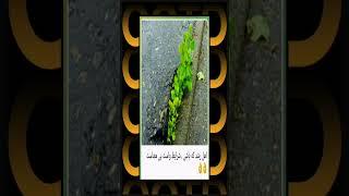 اهل رشد که باشی... #خداشناسی #شکر_گزاری #دانستنی #انگیزه #باور #انرژی #تغییر #معنوی #خدا #زندگی #رشد