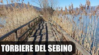 TORBIERE DEL SEBINO - LAGO D'ISEO