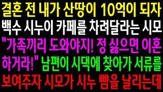 (반전사연)결혼전 내가 산땅이 10억이 되자 백수 시누이 카페를 차려달라는 시모..남편이 시댁에 찾아가 서류를 보여주자 시모가 시누 뺨을 날리는데[신청사연][사이다썰][사연라디오]