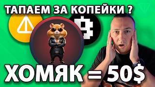 Сколько стоит Hamster Kombat? Копим билеты Blum? Новости Notcoin, Yescoin, Onchain. Новый мем KONG