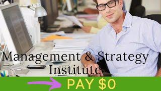 Management and Strategy Institute (FREE COURSE)