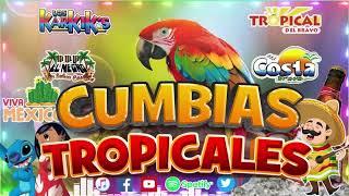 Cumbias Viejitas TropicalesLas Mejores Cumbias Mix Tropical Florida,Los Karkis,Acapulco Tropical…