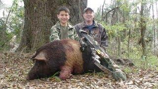 Free Range Wild Boar Bow hunt in Florida for HOGS! hunting with Dogs awesome shot by youth POV