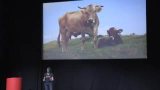 Scalable Meatfrastructure: Building Stable DevOps Teams