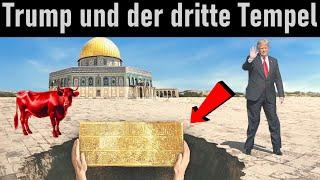 Endzeit-News  Das Datum für den dritten Tempel | Trump als Messias verehrt!