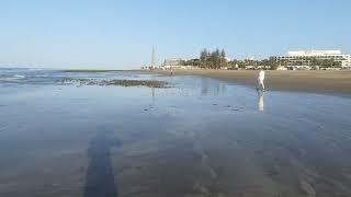 The current weather in brief. ....Maspalomas 27.5.25