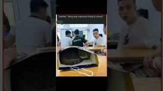 SCHOOL #suscribe #memes #youtubevideos #editz #cover #vk #school