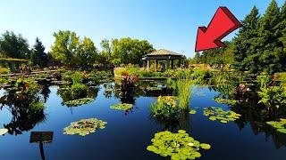 Botanic Gardens Denver Amazing Full Tour 2024