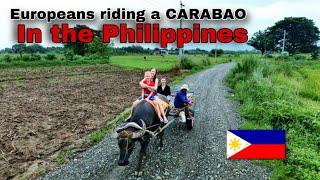 We rode Carabao & visited Rice-fields for a first time in our lives in the Philippines 