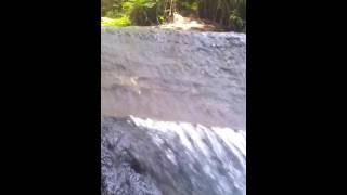 Forest River Little Waterfall - Carpathian Garden