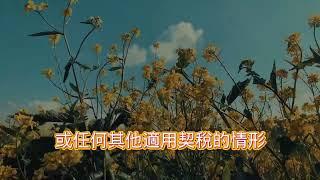 借名登記返還房屋，為何無需契稅？