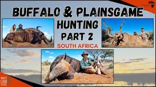 Cape Buffalo hunting with White Lion Safaris and African Sun Productions #hunting #hunters