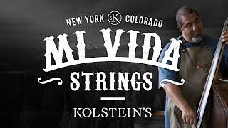 Mi Vida Strings and Kolstein Music