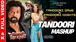 Tandoori Mashup | Tandoori Days X Tandoori Nights | Badass Ravi Kumar, Himesh Reshammiya Sunny Leone