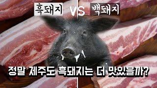 정말 제주도 흑돼지는 더 맛있을까? / 바베큐 / 숯불구이 / 삼겹살