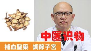 當歸的功效與作用【保健養生】生生不息