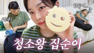 Seulgi's Cleaning DayUseful items, Introduction for Dishes, Late night snack recipe