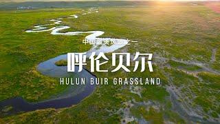 呼伦贝尔草原（Hulun Buir Grassland）