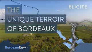 The Unique Terroir Of Bordeaux