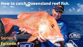 How to catch Queensland reef fish.