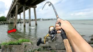 Eating Whatever I Catch.. Fishing UNDER the Bridge (Catch and Cook)