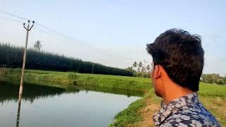 Nature lover forever II Trending whatsapp status II Fish pond in our village