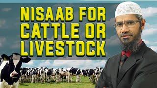 Nisaab for Cattle or Livestock – Dr Zakir Naik