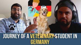 Non-Engineering Courses in Germany: How to start Veterinary studies️in Germany 