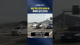 ′세금먹는 민자 유료도로′도 통행료 심의 의무화