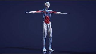 The American Gut Project