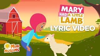 Mary Had a Little Lamb (Eid Song)  Lyric Video | MiniMuslims ️