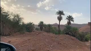 Taking a detour to Terjit Oasis on the way to Atar in Mauritania.