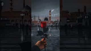 Madina Munawara Madina Munawara Madina Munawara#shahzebkhan #video #viral
