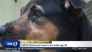 China's pet industry