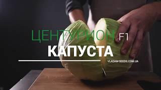 Капуста Центуріон | Смачно, як у бабусі