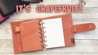 Moterm Pocket Luxe 2.0 Ring Planner in Grapefruit - NEW COLOR!