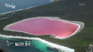 에스페란스의 핑크빛 힐리어 호수＆하이든의 세월이 빚어낸 다양한 바위 [걸어서 세계속으로] | KBS 210508 방송