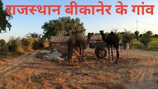 राजस्थान के गांव | Bikaner |Desert Village Rajasthan India | village life |