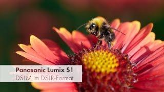 Panasonic Lumix S1 | Frischer Wind im Vollformat-Segment [Deutsch]