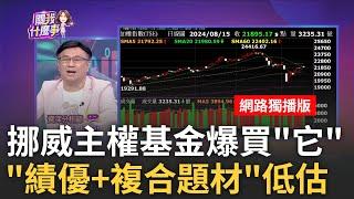 挪威主權基金愛台股! 持股偏愛AI.中興電.中光電報酬率8.6%! 挪威主權上半年..狂賺逾千億美元｜陳斐娟 主持｜20240815| 關我什麼事 feat.賴憲政.封開平