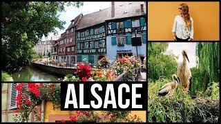 EXPLORING FRANCE: Alsace Region - Strasbourg, Colmar, Riquewihr & more