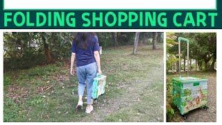 Picking Mangoes by Standing on Rolling Crate/Storage Cart Foldable Grocery Cart Best Shopping Carts