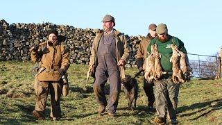 Ferreting in the Dales