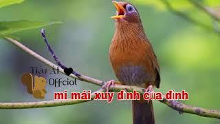 mi mai xuy kích trống nhanh lên lửa _ mi mái xuy dâm nhất vịnh bắc bộ