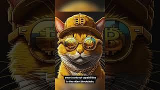 Bitcoin's OP_CAT Upgrade: StarkWare's Game-Changing Test!