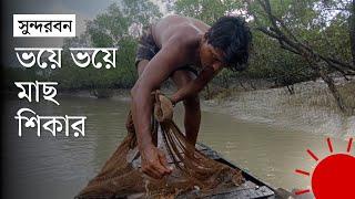 সুন্দরবনের গহিনে জেলেদের মাছ শিকার | Sundarbans Fisherman | News | Prothom Alo