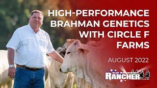 High Performance Brahman Genetics with Circle F Farms | The American Rancher